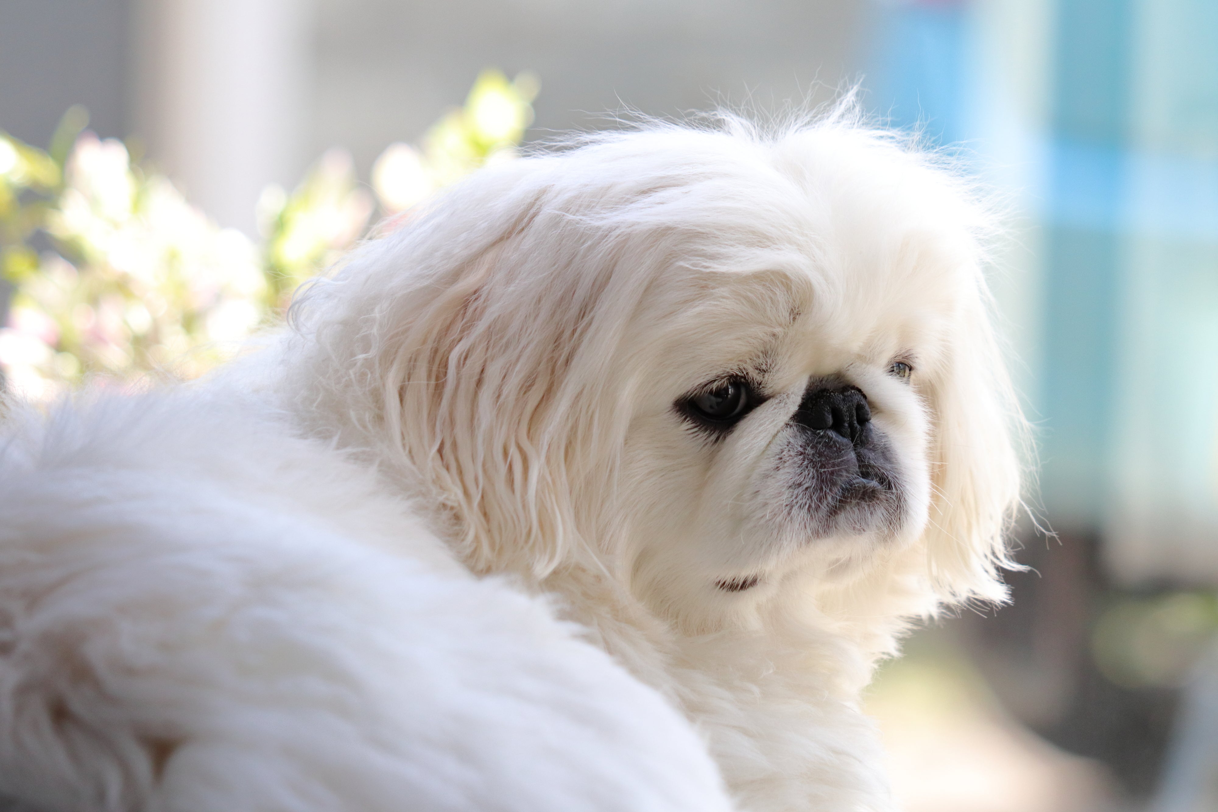 pixta_54735120_L.jpg?v=1731914385